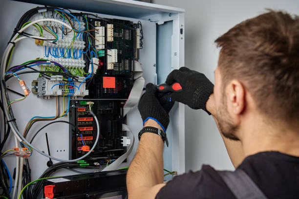 Licensed Electrical Panel Upgrade service in Woodlake, VA - No Joke electrician